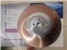 HSS Circular Saw Blade 450*3.0 factory